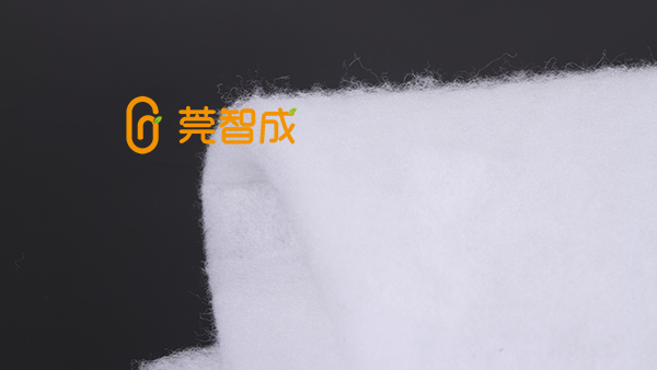 無膠棉廠智成纖維，品牌彰顯實力
