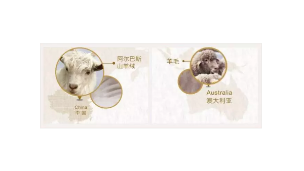 天冷了，羊毛和羊絨到底有什么區別？90%的人都不知道！