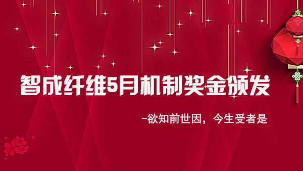 智成纖維5月業績有新高-欲知前世因，今生受者是