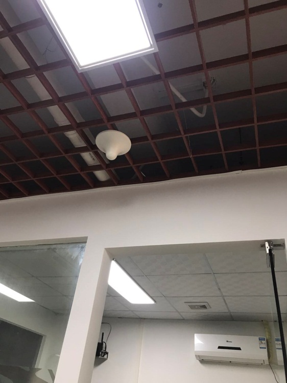 1588821102169243.jpg 2.jpg